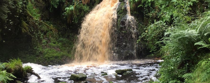 Hindhope Linn