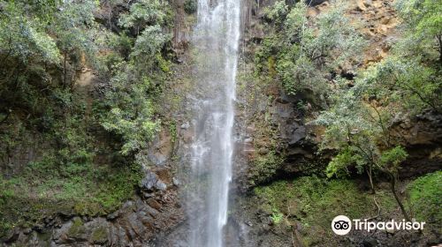 Wailua River State Park