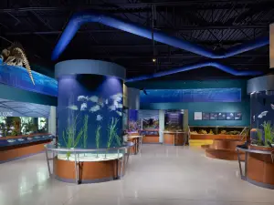 Cox Science Center and Aquarium