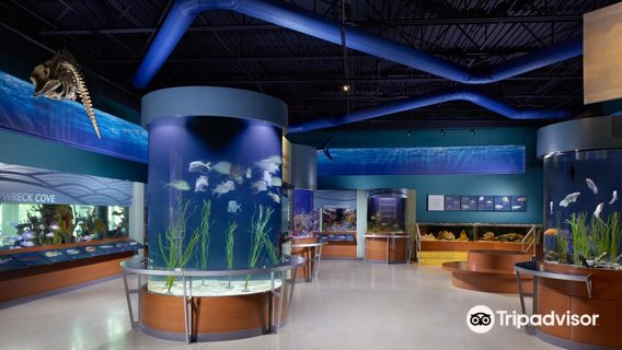 Cox Science Center and Aquarium