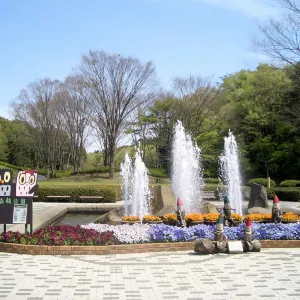 国営武蔵丘陵森林公園