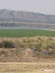 The Montana Blue Jewel Mine