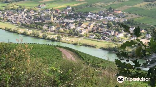 Mosel Valley