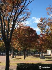 宝塚末広中央公園