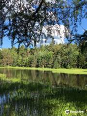 Higley Flow State Park