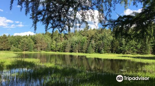 Higley Flow State Park