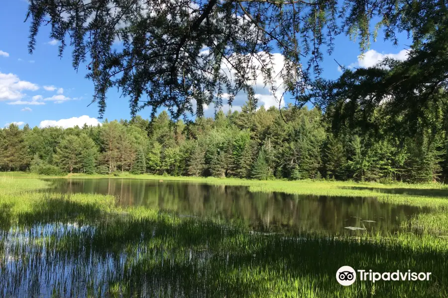 Higley Flow State Park