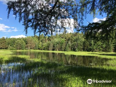 Higley Flow State Park
