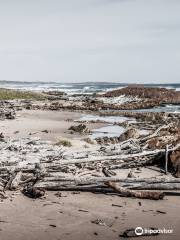 Arthur-Pieman Conservation Area