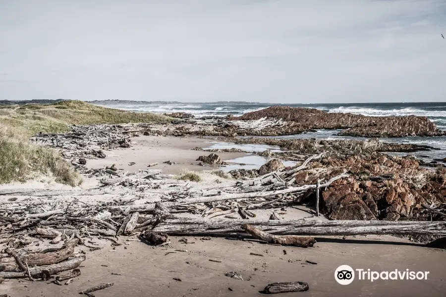 Arthur-Pieman Conservation Area