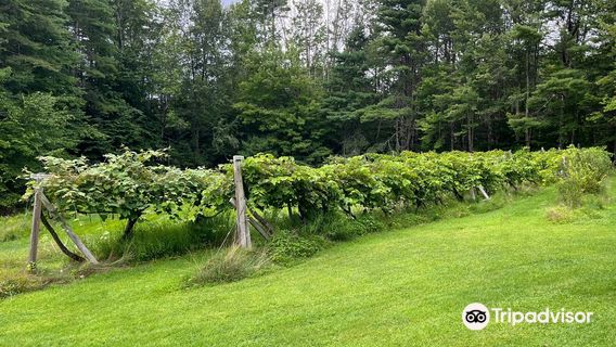 Prospect Hill Winery & Vineyard