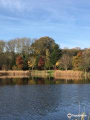 Kingfisher Trout Lake