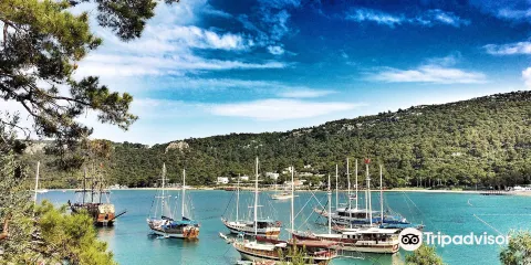 Folklorik Yoruk Parki