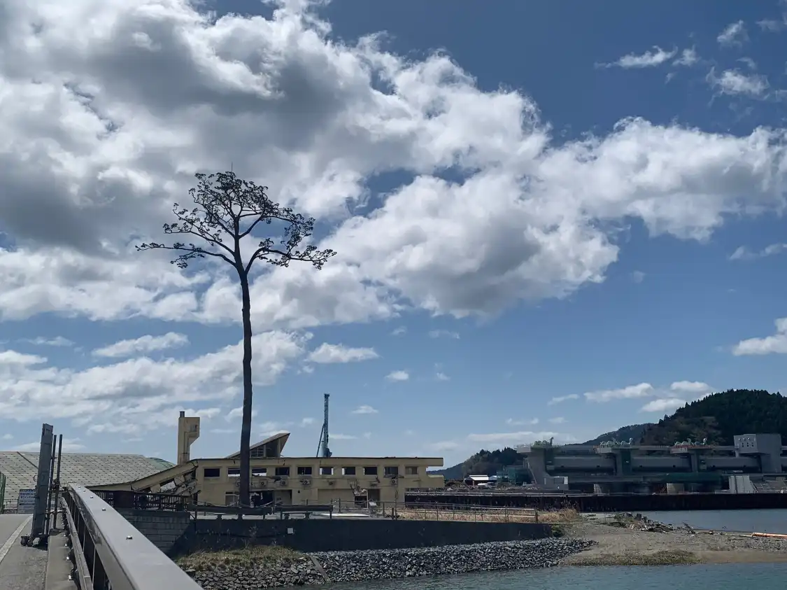 Miracle Lone Pine Tree附近的飯店