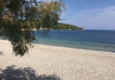 Beach Prirovo Vis