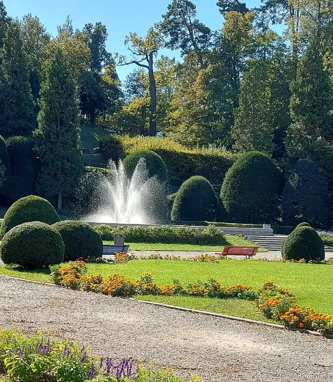 Varese