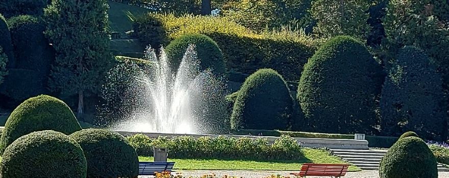Varese