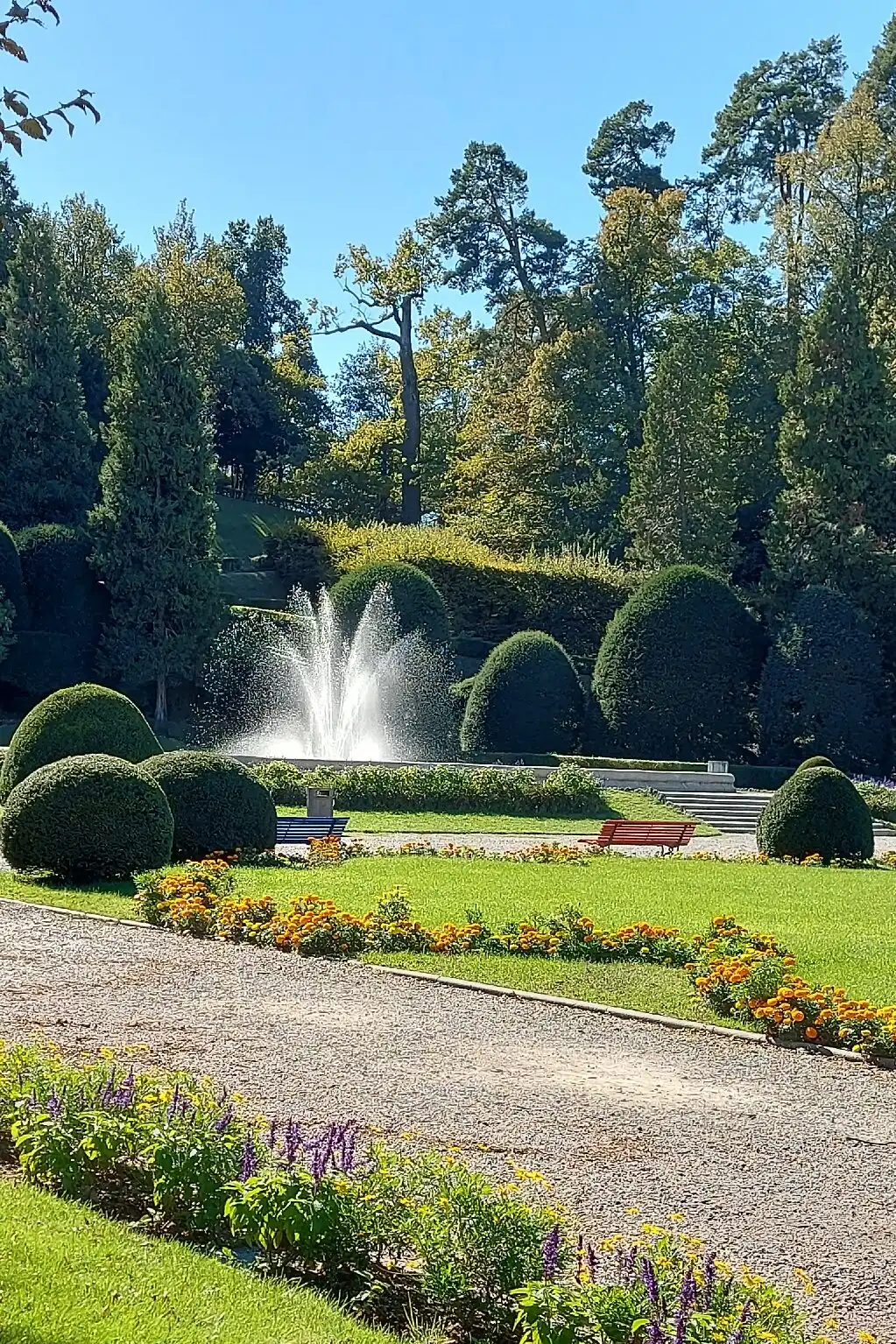 Hotel in zona Palazzo e Giardini Estensi