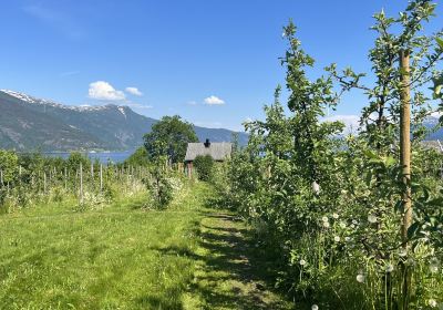 The Cider House - Cidertasting and Shop