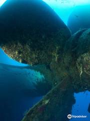 Undersea World Scuba Diving