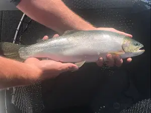 State of Mind Fishing Charters LLC