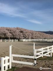 Mizusawa Race Track