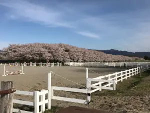 Mizusawa Horse Tracks