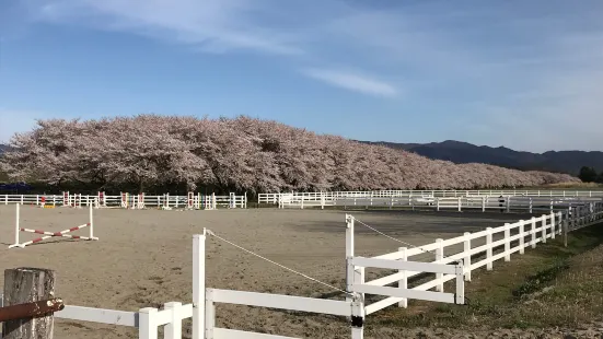 Mizusawa Horse Tracks