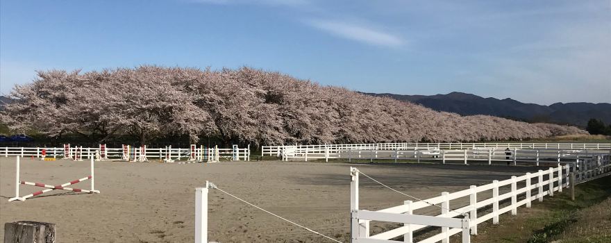 Mizusawa Race Track