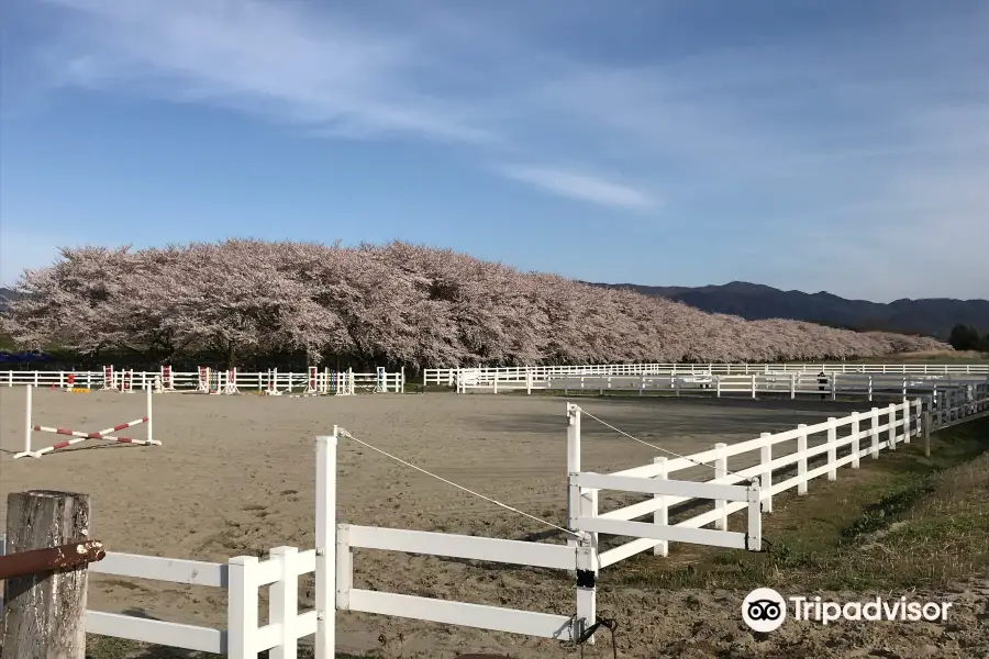 Mizusawa Race Track