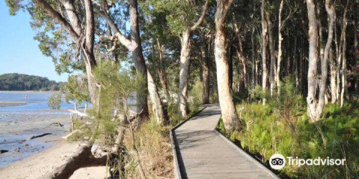 提力加力居留地