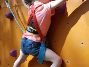 Accrobranche VERT TIGE AVENTURE