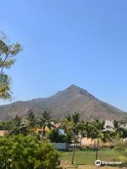 Arunachala Mountain