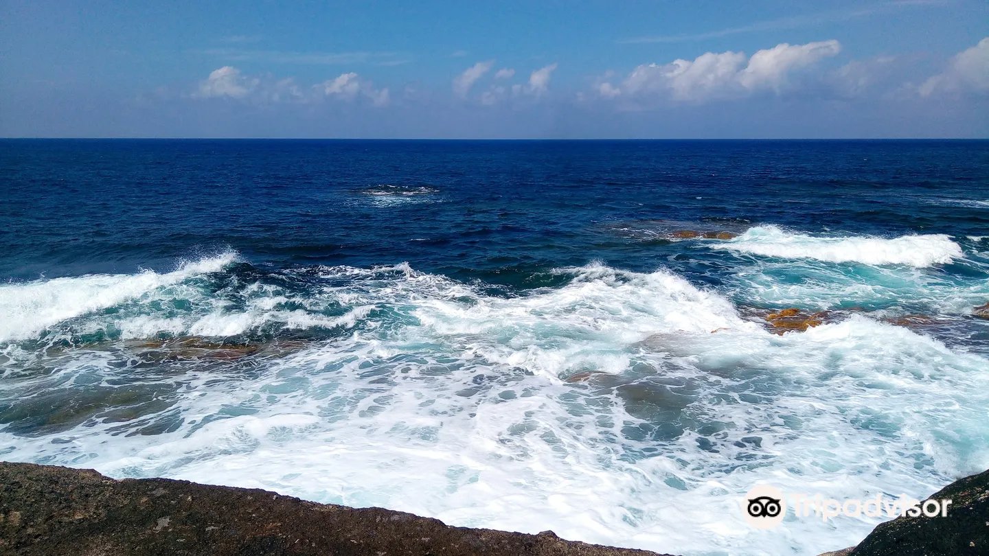 4_Piscinas naturales de Bajamar y Punta del Hidalgo