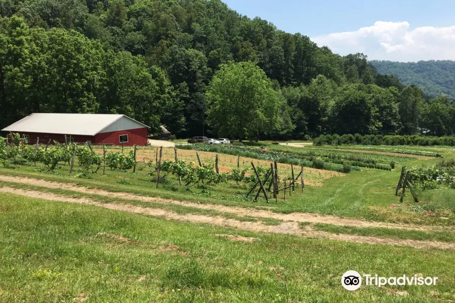 Stoney Hollow Farm