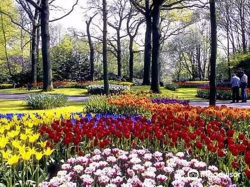 Zakir Hussain Rose Garden