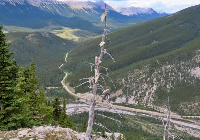 Don Getty Wildland Provincial Park