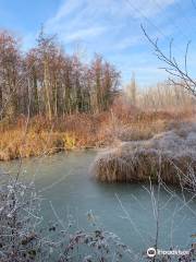 Oasi Lycaena di Salzano