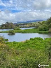 Waikato River Trails