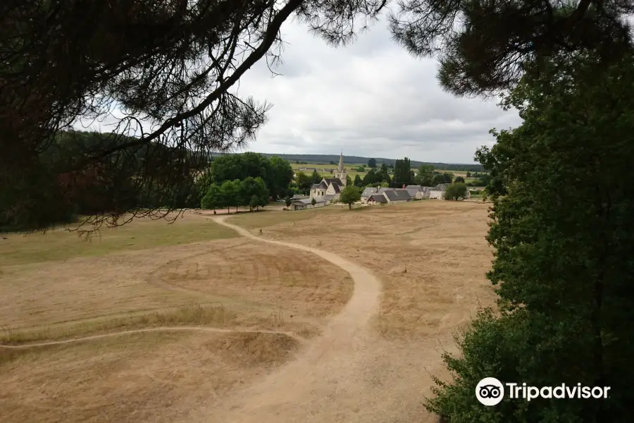 Saint Benoit Aventure