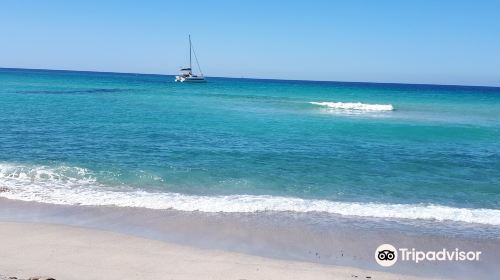 Plage de Capo di Feno