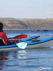 Patagonia Explorers Sea Kayak