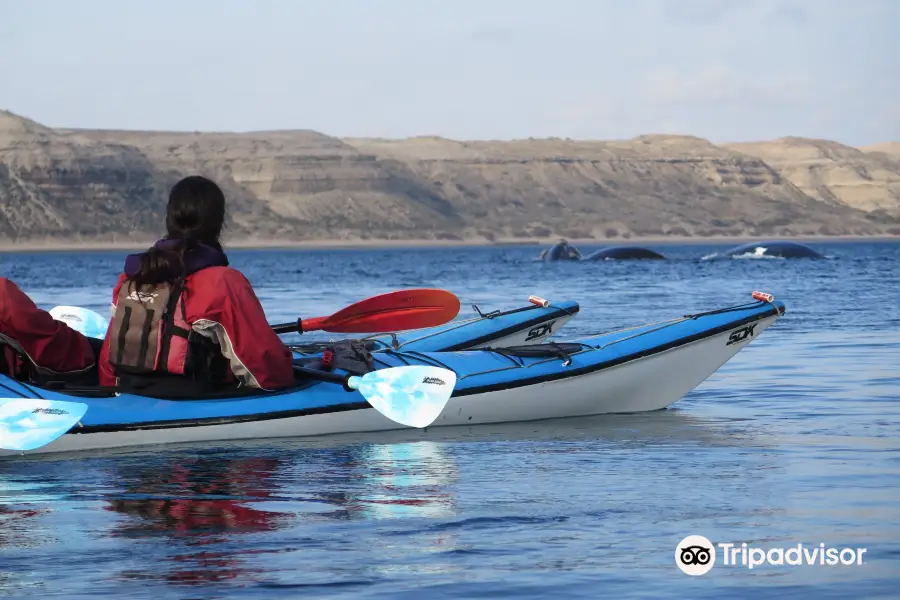 Patagonia Explorers Sea Kayak