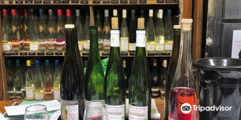 Cave Viticole du Bollenberg