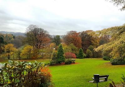 Kilsyth