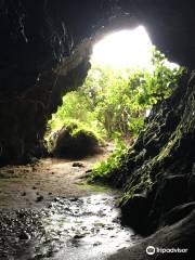 Whatipu Caves Track