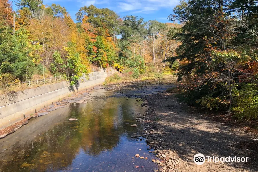 Comstock Bridge