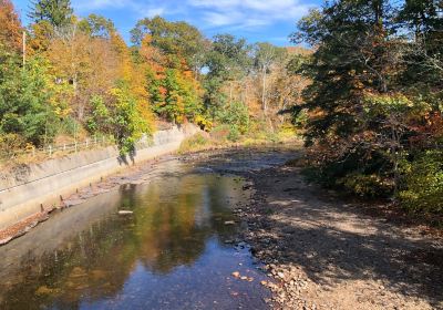 Comstock Bridge