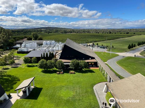 Mitchelton Wines