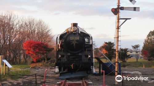 Old Shibetsu Line, Nemuro Shibestu Station Turntable